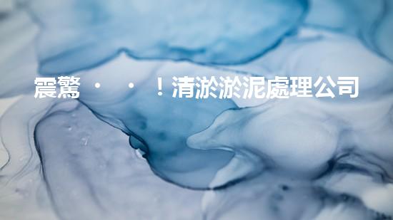震驚！清淤淤泥處理公司哪家強(qiáng)？在線等，挺急的！
